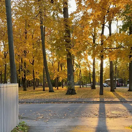 Vanapargi Residents In The Center *