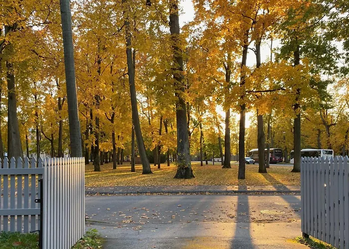 Vanapargi Residents In The Center *